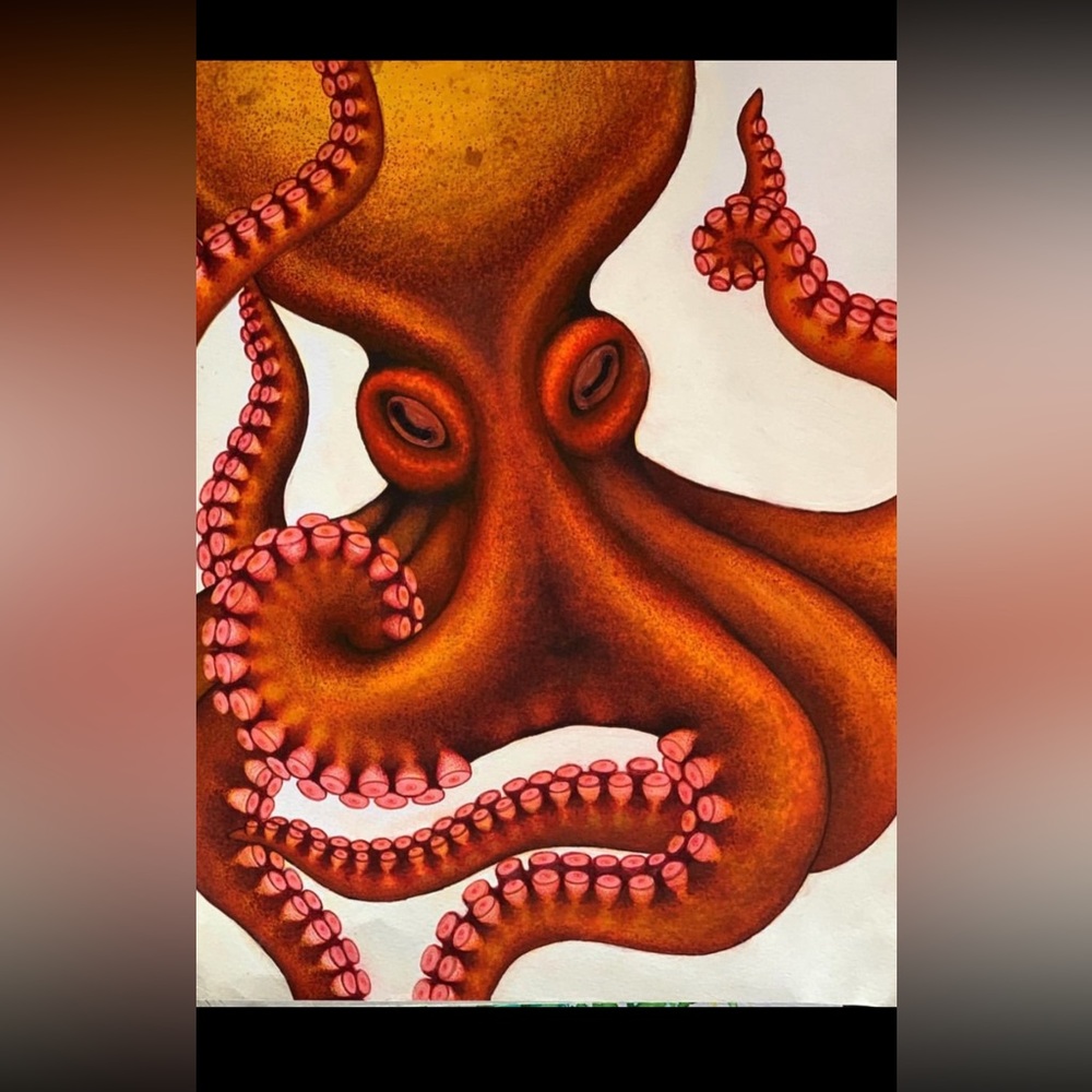 Octopus Drawing 9x12”